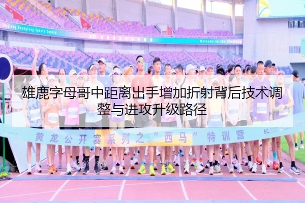 雄鹿字母哥中距离出手增加折射背后技术调整与进攻升级路径 - leyu